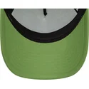 petten-gebogen-groen-snapback-a-frame-frame-character-van-tasmania-looney-tunes-van-new-era