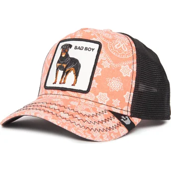 petten-gebogen-roze-snapback-bad-boy-lovesexy-the-farm-paisley-the-farm-van-goorin-bros