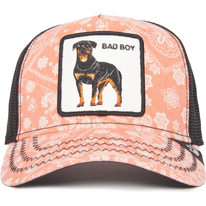 petten-gebogen-roze-snapback-bad-boy-lovesexy-the-farm-paisley-the-farm-van-goorin-bros