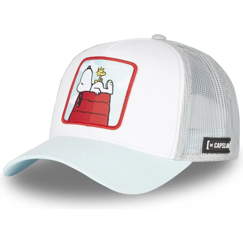 petten-gebogen-meerkleurig-snapback-pea4-sno-snoopy-en-emilio-peanuts-van-capslab