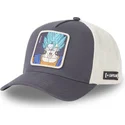 petten-gebogen-zwart-snapback-super-saiyan-blue-fus-vegito-dragon-ball-van-capslab