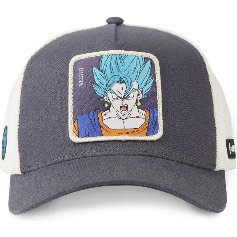 petten-gebogen-zwart-snapback-super-saiyan-blue-fus-vegito-dragon-ball-van-capslab