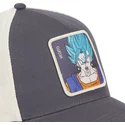 petten-gebogen-zwart-snapback-super-saiyan-blue-fus-vegito-dragon-ball-van-capslab