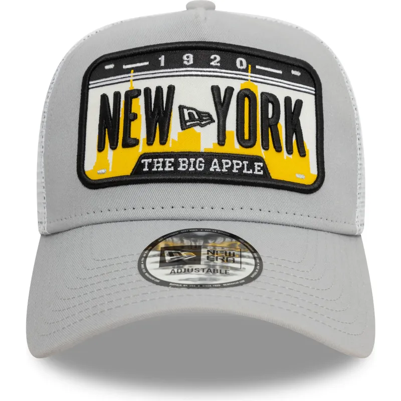 petten-gebogen-grijs-snapback-a-frame-license-plate-van-new-york-steden-en-stranden-van-new-era