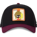 petten-gebogen-zwart-snapback-loo10-vmar-marvin-de-marsman-looney-tunes-van-capslab