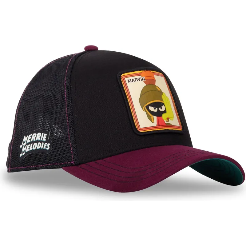 petten-gebogen-zwart-snapback-loo10-vmar-marvin-de-marsman-looney-tunes-van-capslab