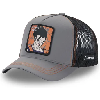 Petten gebogen grijs snapback Ultimate DBZ8 GOH Son Gohan Dragon Ball van Capslab