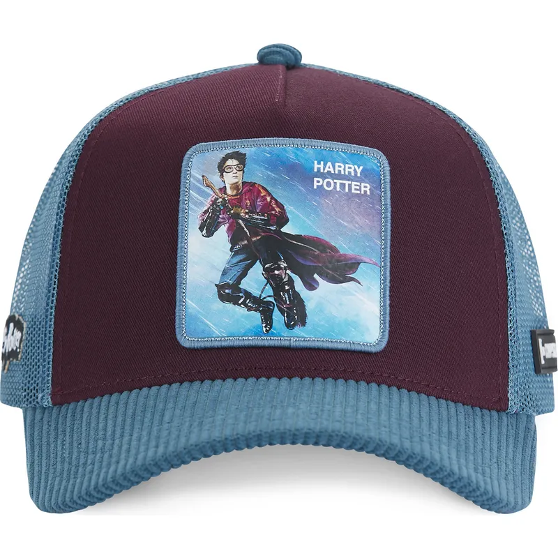 petten-gebogen-meerkleurig-snapback-pot4-harry-potter-van-capslab