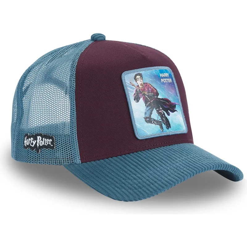 petten-gebogen-meerkleurig-snapback-pot4-harry-potter-van-capslab