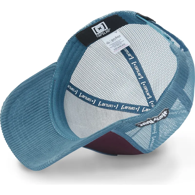 petten-gebogen-meerkleurig-snapback-pot4-harry-potter-van-capslab