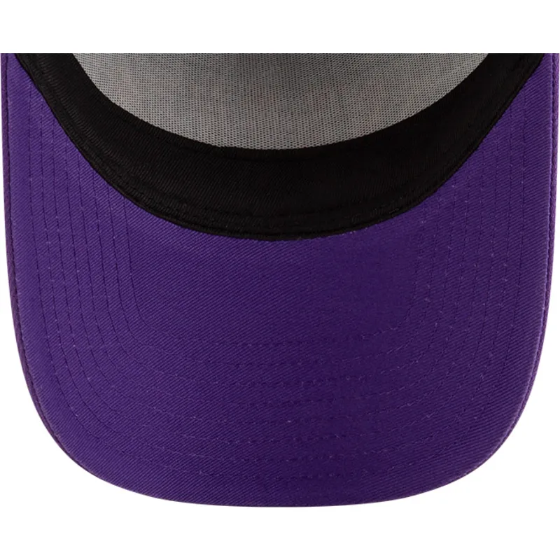 petten-gebogen-paars-snapback-a-frame-classic-van-toronto-raptors-nba-van-new-era