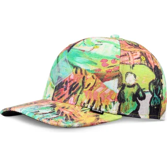 Petten gebogen meerkleurig snapback TrueFit Painting van Djinns
