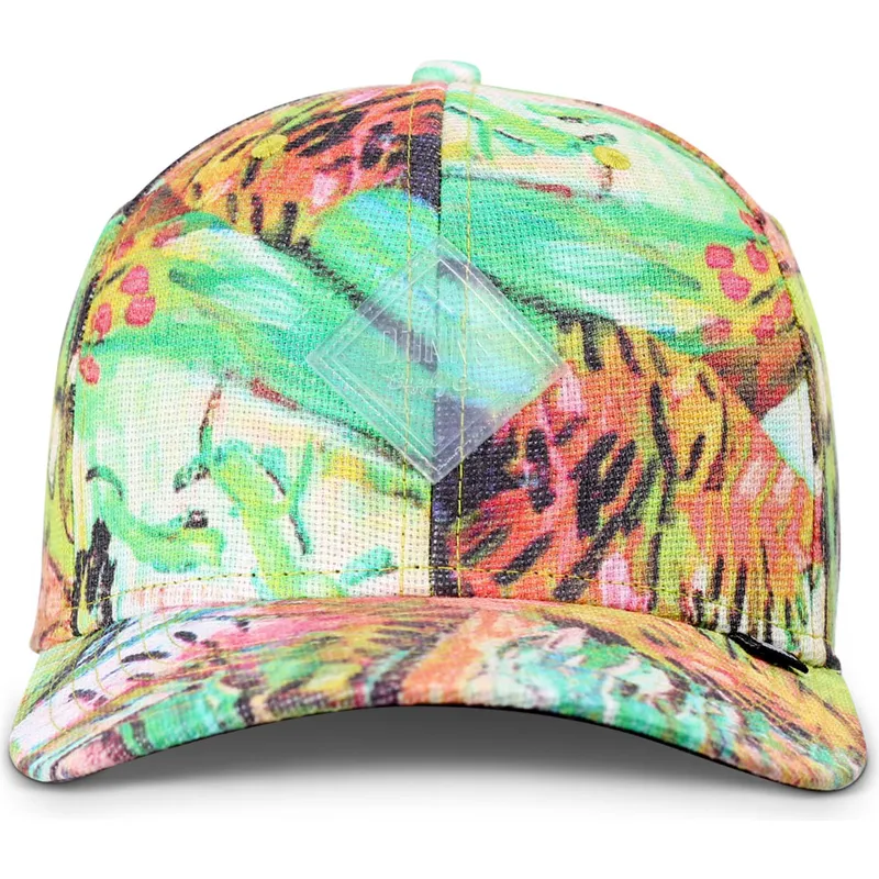 petten-gebogen-meerkleurig-snapback-truefit-painting-van-djinns petten-gebogen-meerkleurig-snapback-truefit-painting-van-djinns