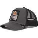 petten-gebogen-grijs-snapback-ape-bay-bay-primal-global-core-the-farm-van-goorin-bros