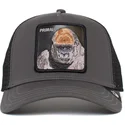 petten-gebogen-grijs-snapback-ape-bay-bay-primal-global-core-the-farm-van-goorin-bros