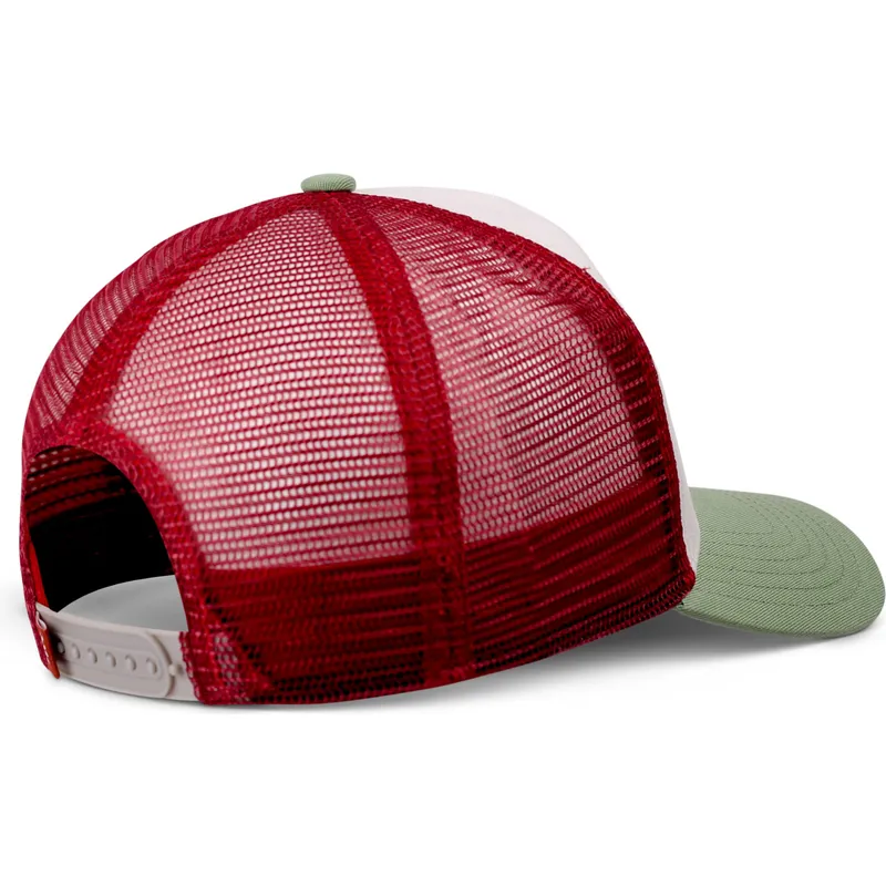petten-gebogen-meerkleurig-snapback-slow-ride-high-times-hft-van-coastal