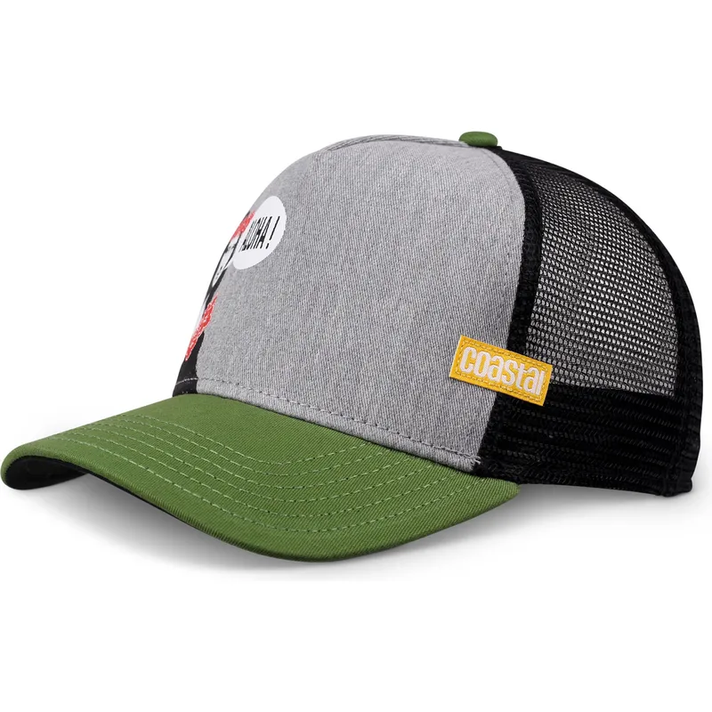 petten-gebogen-grijs-snapback-mona-aloha-hft-van-coastal