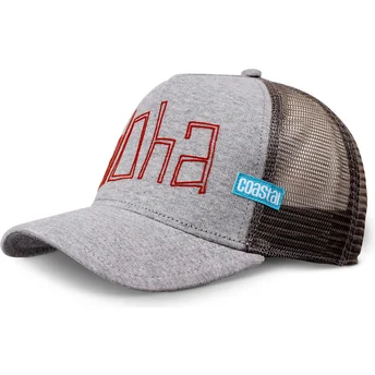 Petten gebogen grijs snapback Aloha Jersey HFT van Coastal