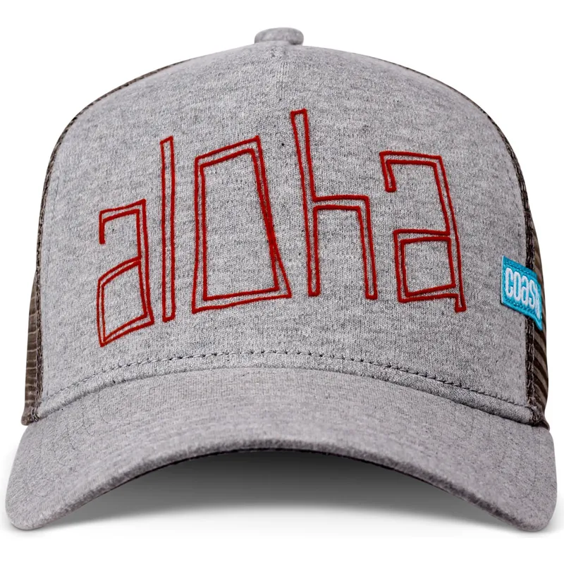 petten-gebogen-grijs-snapback-aloha-jersey-hft-van-coastal
