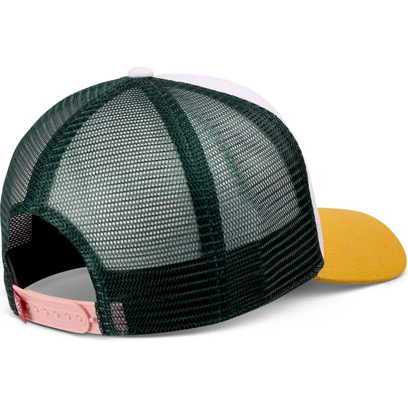 petten-gebogen-meerkleurig-snapback-better-hawaii-hft-van-coastal