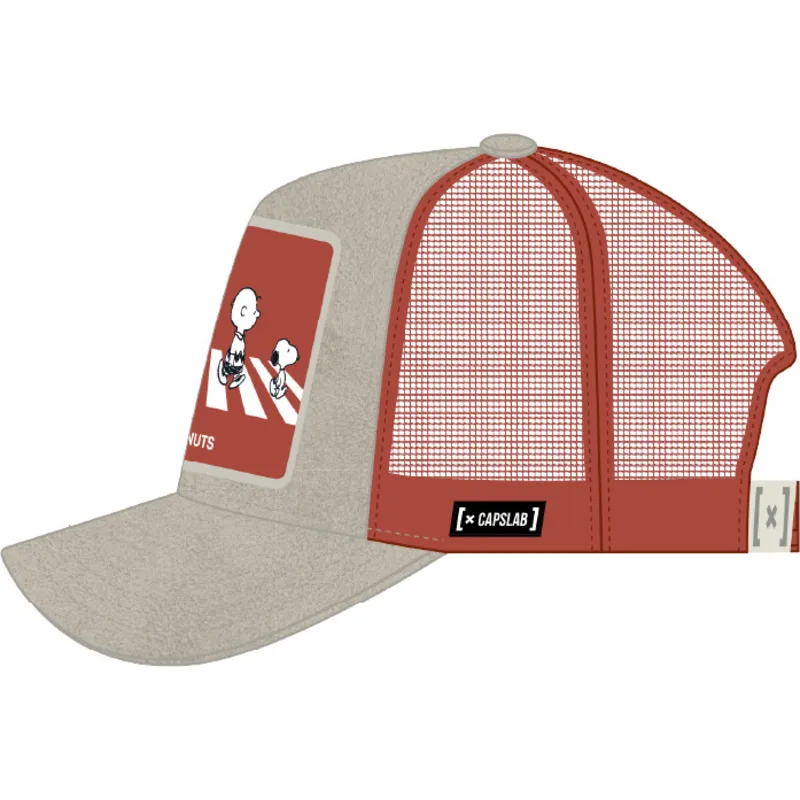 petten-gebogen-grijs-snapback-pea5-pea-peanuts-van-capslab
