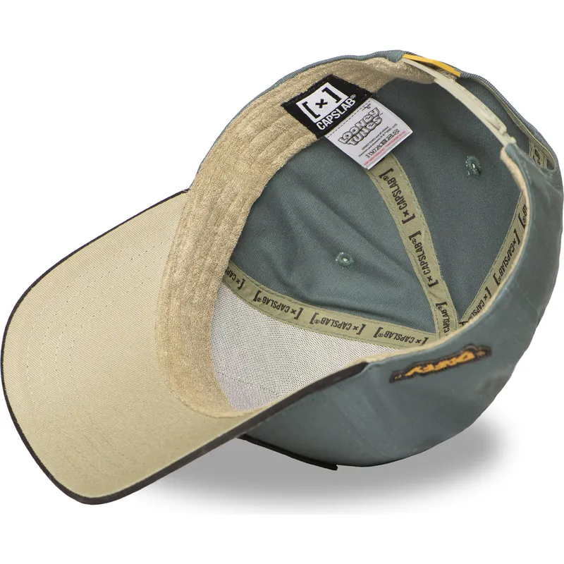 petten-gebogen-groen-snapback-loo12-daf2-daffy-duck-looney-tunes-van-capslab
