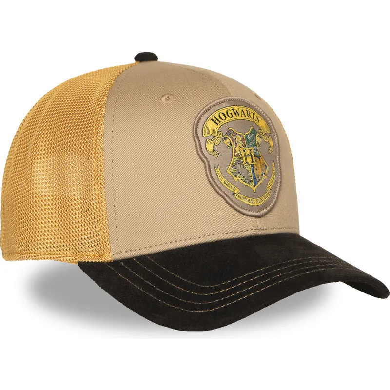 petten-gebogen-meerkleurig-snapback-hp3-hog-zweinstein-harry-potter-van-capslab