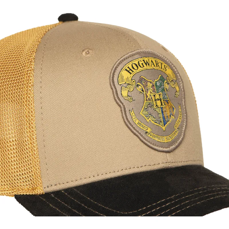 petten-gebogen-meerkleurig-snapback-hp3-hog-zweinstein-harry-potter-van-capslab
