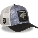 petten-gebogen-meerkleurig-snapback-got-sta-huis-stark-game-of-thrones-van-capslab