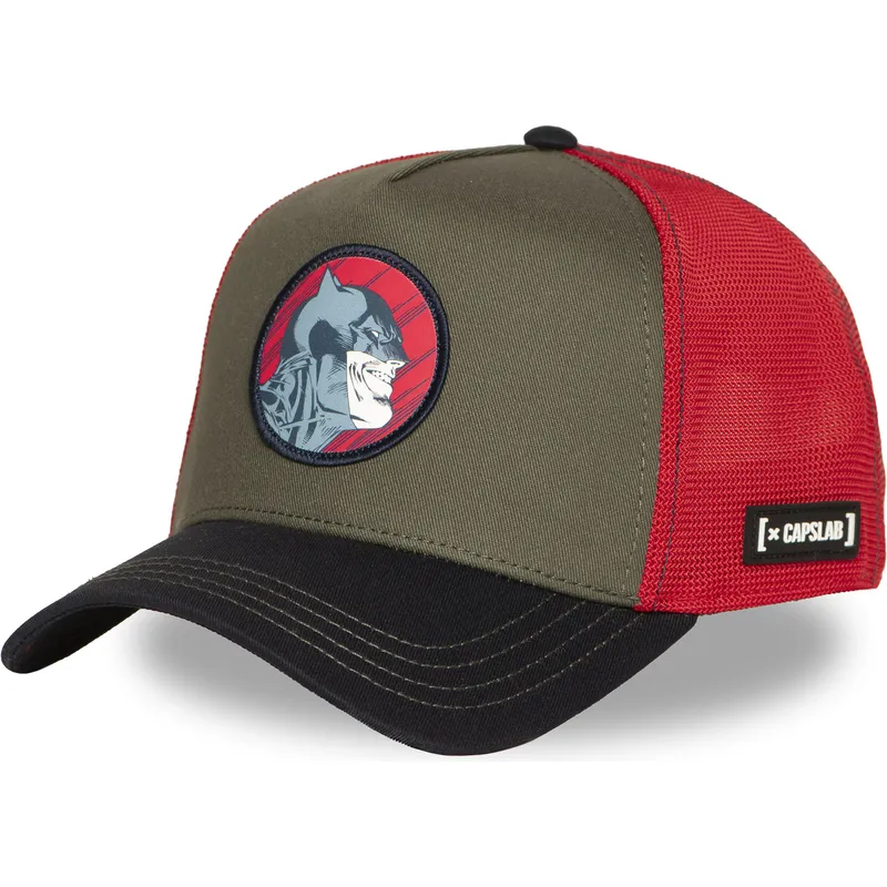 petten-gebogen-meerkleurig-snapback-dc10-bat-ct-batman-dc-comics-van-capslab
