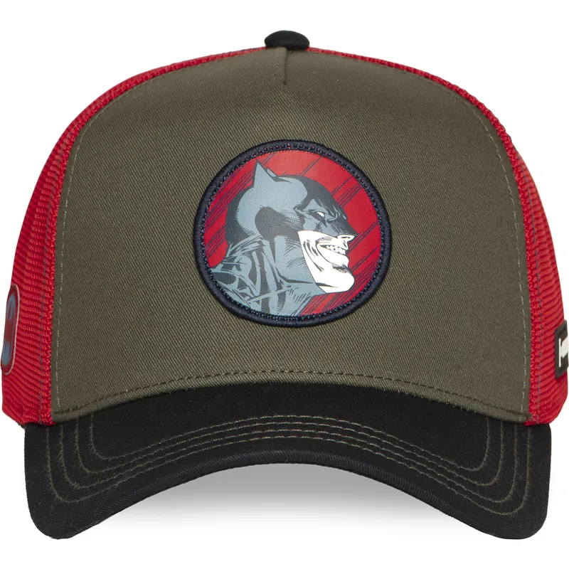 petten-gebogen-meerkleurig-snapback-dc10-bat-ct-batman-dc-comics-van-capslab