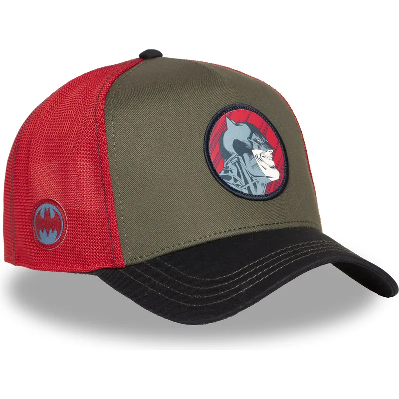 petten-gebogen-meerkleurig-snapback-dc10-bat-ct-batman-dc-comics-van-capslab
