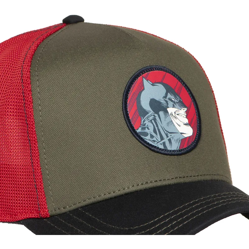 petten-gebogen-meerkleurig-snapback-dc10-bat-ct-batman-dc-comics-van-capslab
