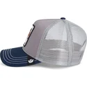 petten-gebogen-meerkleurig-snapback-the-boyz-sport-the-farm-van-goorin-bros