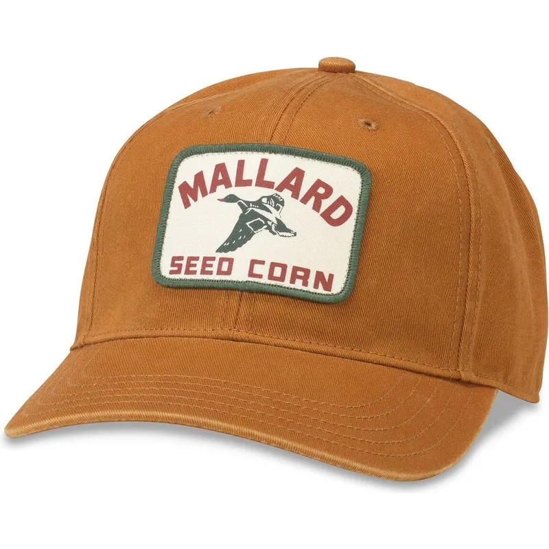 petten-gebogen-bruin-verstelbaar-mallard-seed-corn-hepcat-van-american-needle