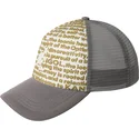 petten-gebogen-grijs-snapback-fine-print-van-kangol