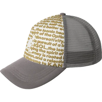 Petten gebogen grijs snapback Fine Print van Kangol