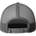 petten-gebogen-grijs-snapback-fine-print-van-kangol
