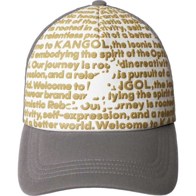petten-gebogen-grijs-snapback-fine-print-van-kangol