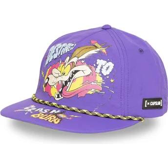 Petten plat paars snapback LOO13 DTCB coyote Looney Tunes van Capslab
