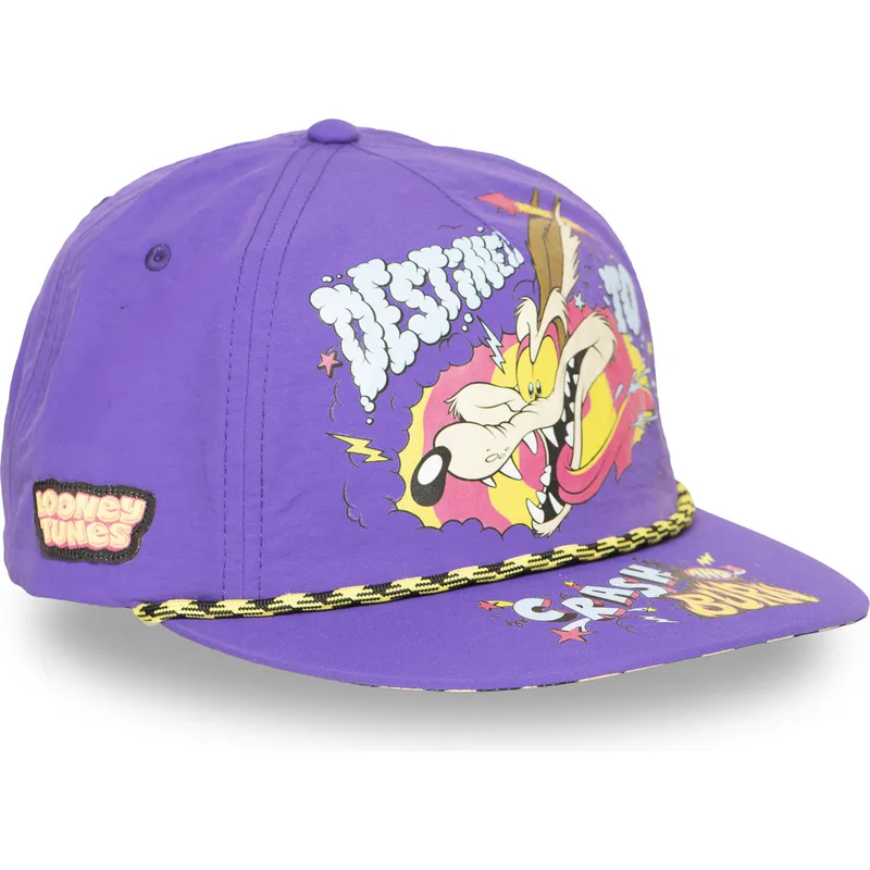 petten-plat-paars-snapback-loo13-dtcb-coyote-looney-tunes-van-capslab