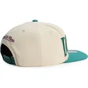 petten-plat-groen-snapback-across-the-board-van-anaheim-ducks-nhl-van-mitchell-ness