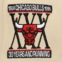 petten-plat-zwart-snapback-across-the-board-van-chicago-bulls-nba-van-mitchell-ness