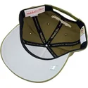 petten-gebogen-groen-snapback-fashion-basic-pro-van-toronto-raptors-nba-van-mitchell-ness