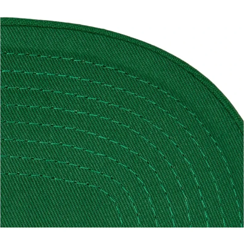 petten-gebogen-groen-snapback-team-2-tone-20-pro-van-boston-celtics-nba-van-mitchell-ness