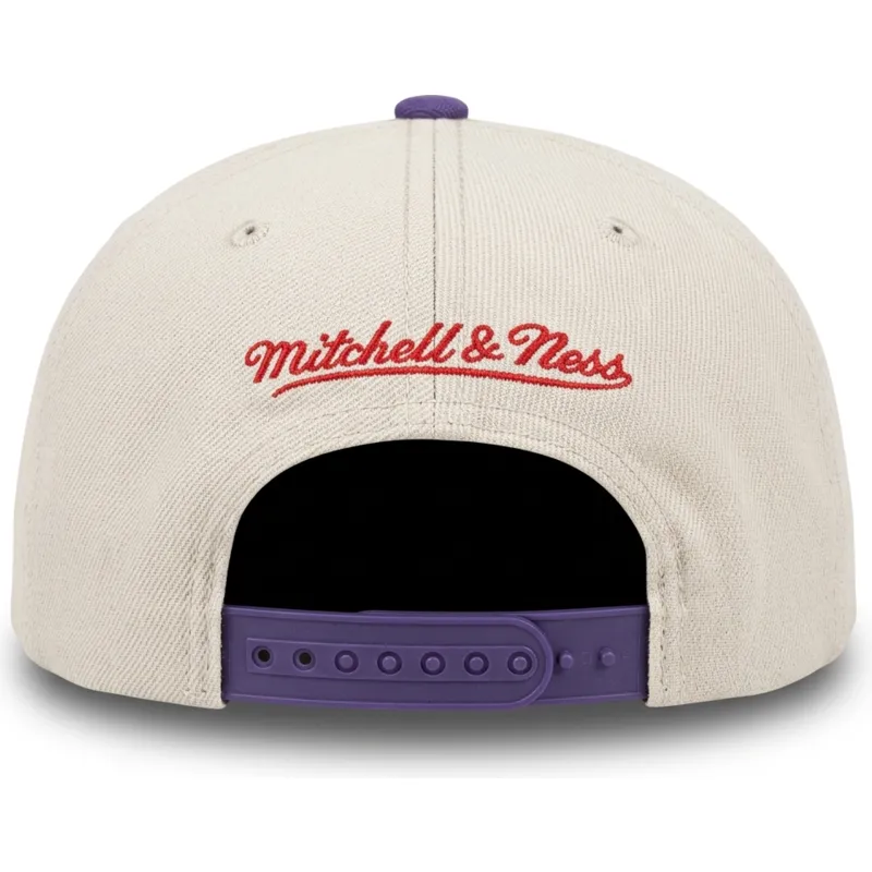 petten-plat-paars-snapback-across-the-board-van-toronto-raptors-nba-van-mitchell-ness