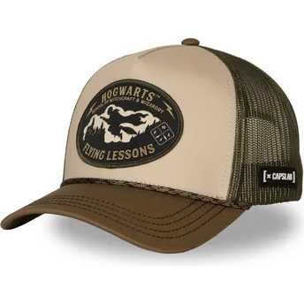 Petten gebogen groen snapback HP4 FLY2B Harry Potter van Capslab