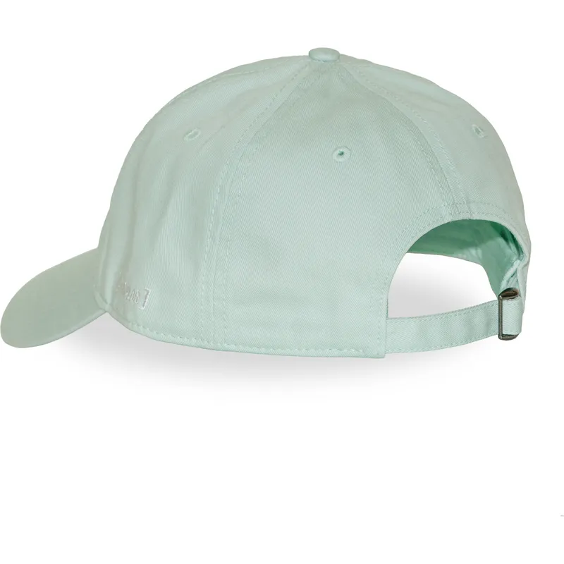 petten-gebogen-groen-verstelbaar-smu2-papb-grote-smurf-de-smurfen-van-capslab