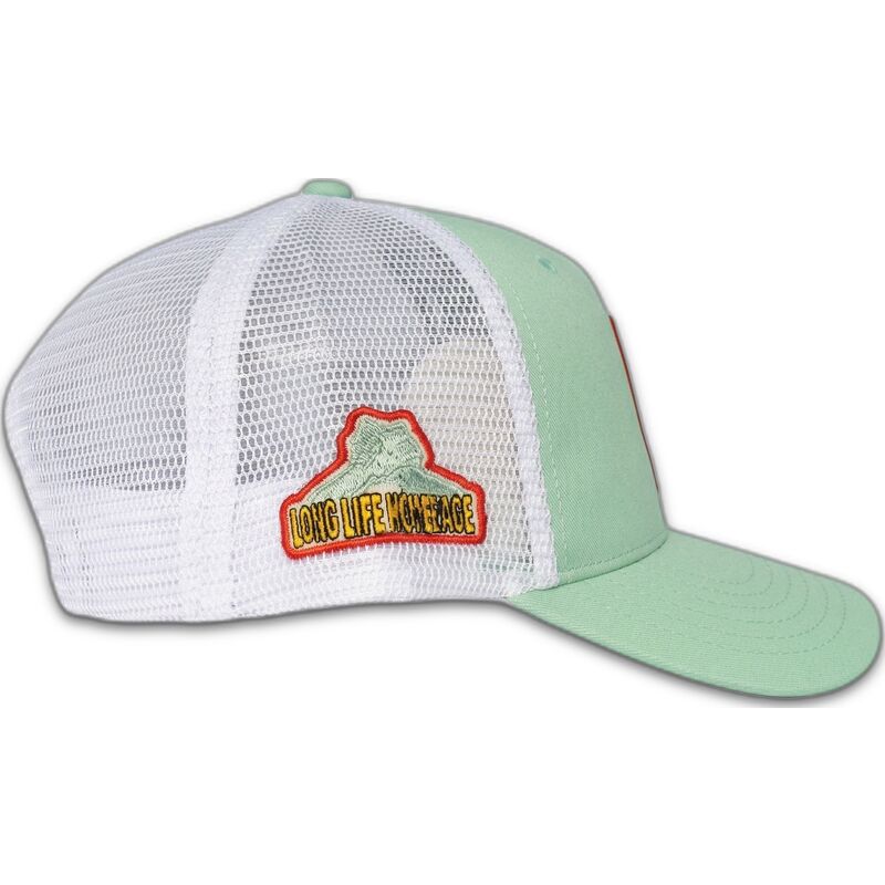 petten-gebogen-groen-snapback-the-trucker-childhood-fun-the-van-homenage petten-gebogen-groen-snapback-the-trucker-childhood-fun-the-van-homenage