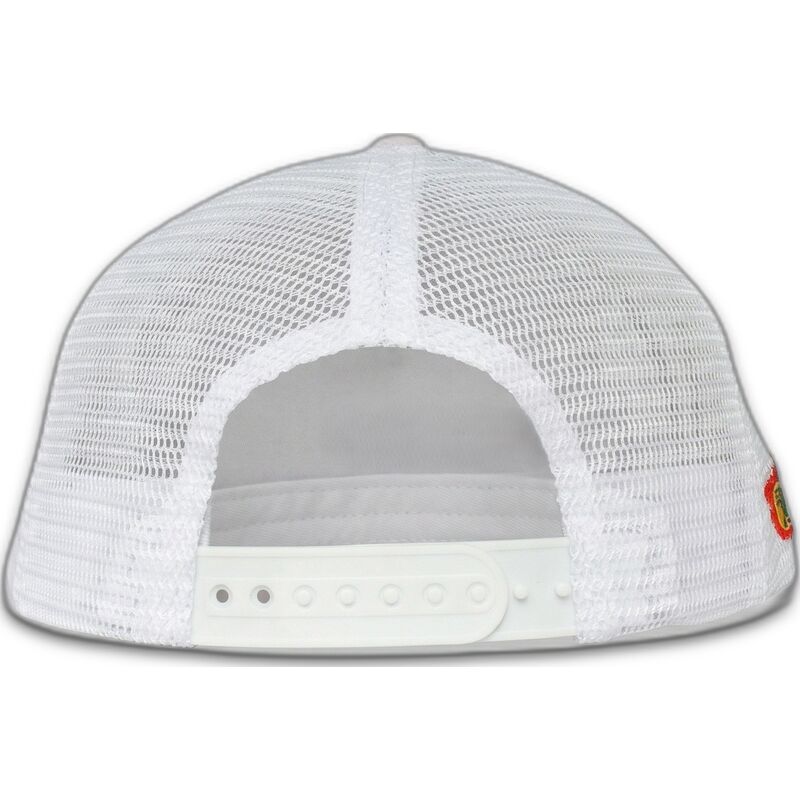 petten-gebogen-roze-snapback-the-trucker-childhood-fun-the-van-homenage